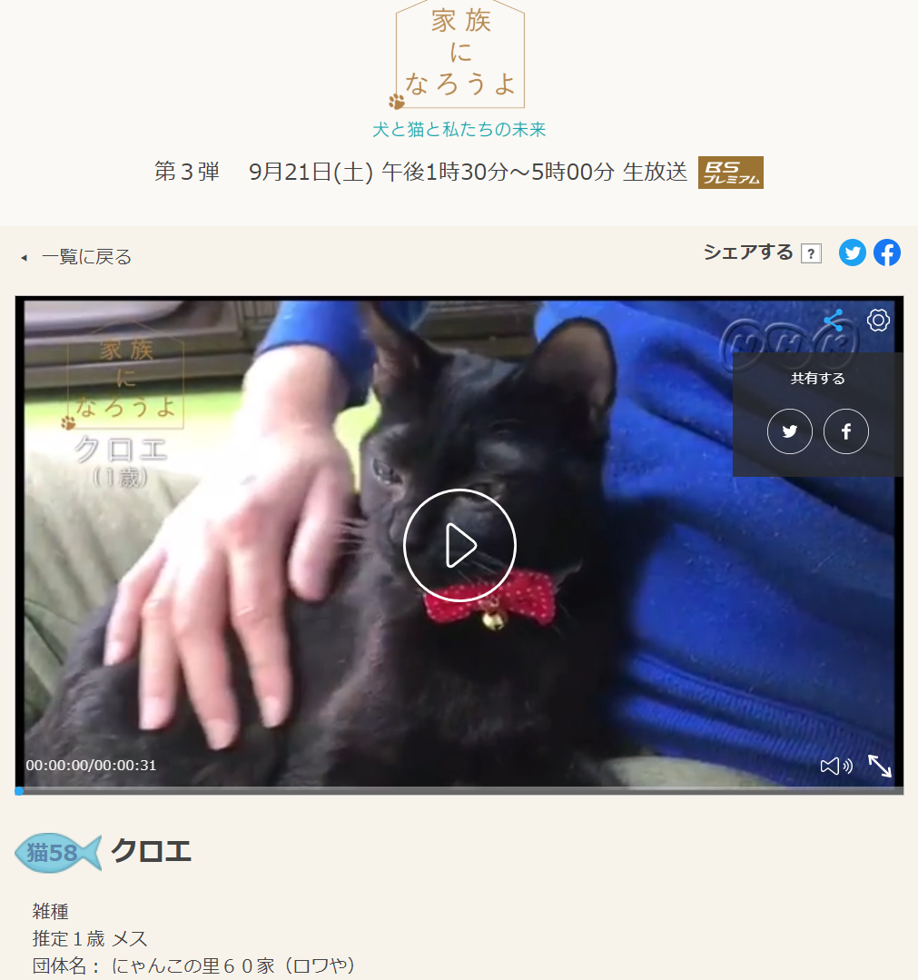 NHKテレビ番組の家族になろうよで放送された保護猫クロエ