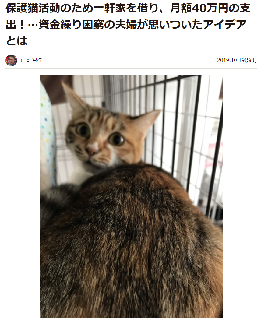 2019年10月19日にYahoo!ニュースで掲載された保護猫の記事